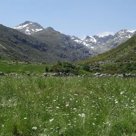 El Embalse Los Loros
