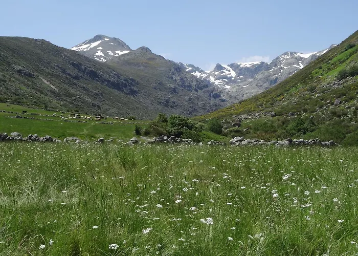 El Embalse Los Loros
